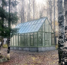 АСТЕРА Макси